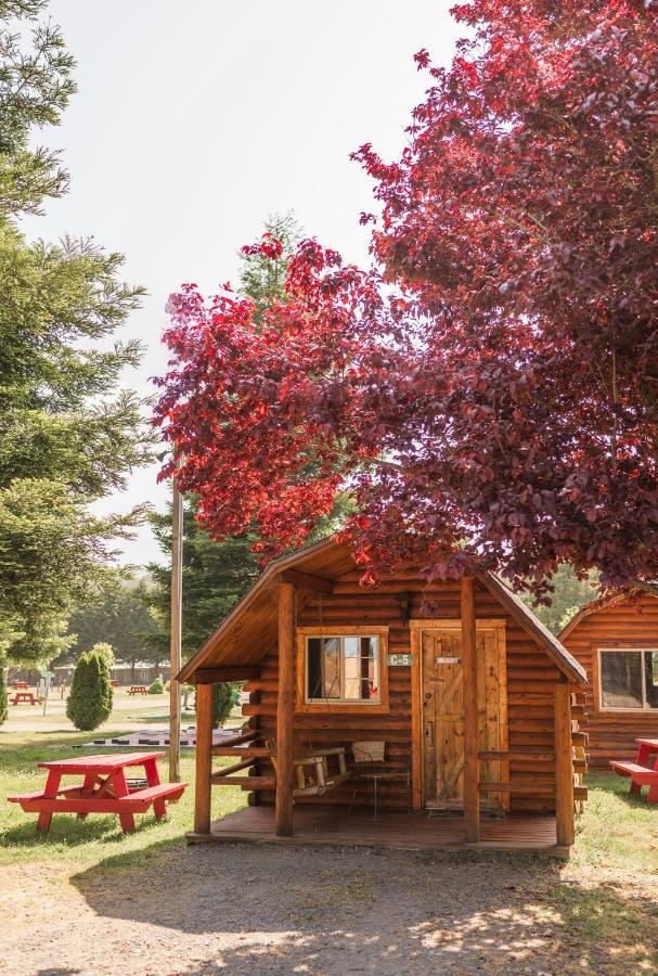 יוריקה Redwood Coast Cabins And Rv Resort מראה חיצוני תמונה